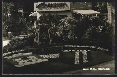 AK Wels, Partie im Stadtpark