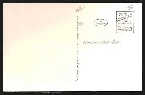 AK Wels, Partie im Stadtpark