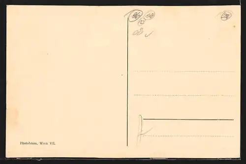 AK Wels, Hotel und Cafè Greif