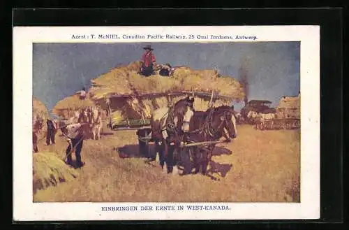 AK Pferdewagen beim Einbringen der Ernte in West-Kanada