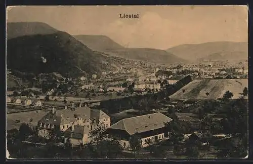 AK Liestal, Totalansicht aus der Vogelschau