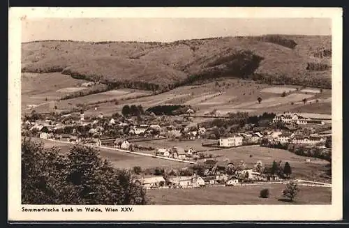 AK Laab i. Walde, Totalansicht aus der Vogelschau