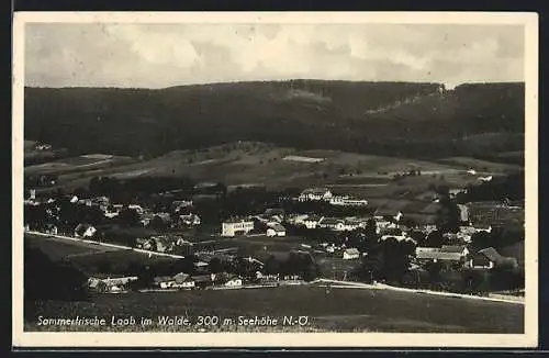 AK Laab im Walde, Totalansicht