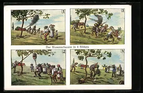 AK Einfangen eines Bienenschwarms, Bildergeschichte