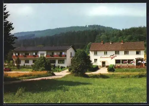 AK Miltenberg /Main, Gasthaus und Pension Zum Ohrnbachtal