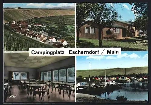 AK Escherndorf / Main, Campingplatz, Ortsansicht aus der Vogelschau