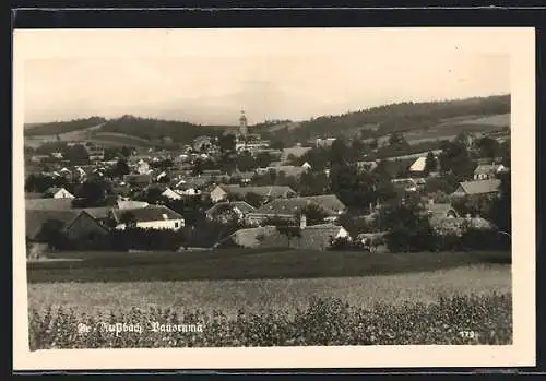 AK Grossrussbach /Niederösterreich, Panorama