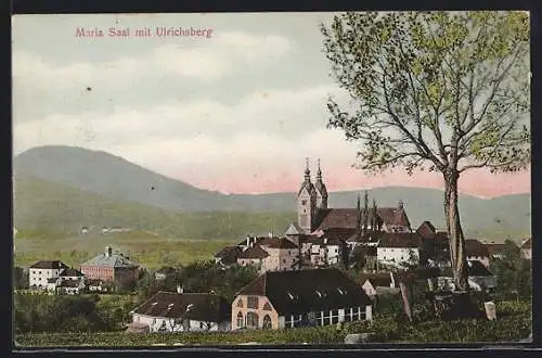 AK Maria Saal, Ortsansicht mit Ulrichsberg