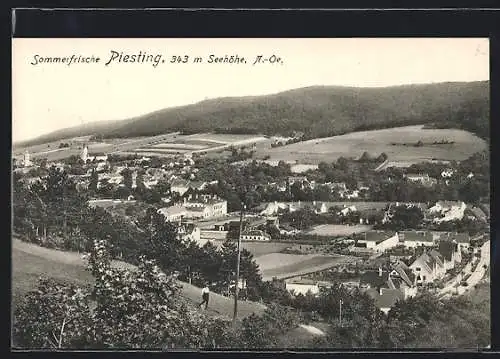 AK Piesting, Teilansicht