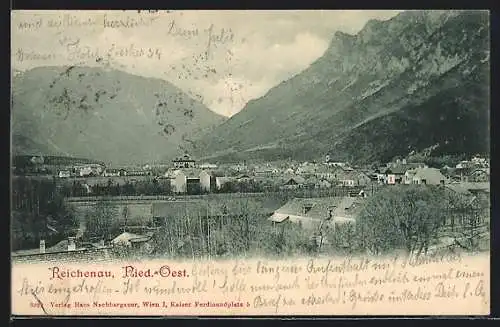 AK Reichenau / Niederösterreich, Totalansicht
