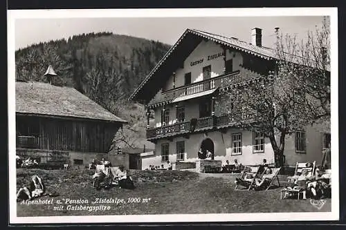 AK Salzburg, Alpenhotel Zistelalpe mit Gaisbergspitze