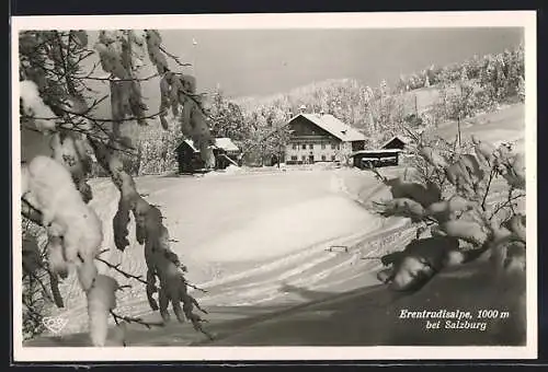 AK Salzburg, Erentrudisalpe im Winter