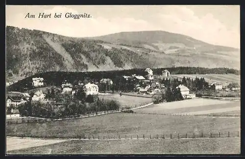 AK Gloggnitz, Ortspartie am Hart