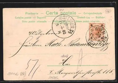 Lithographie Wien, Darstellung der Universität