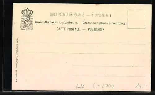 AK Luxembourg, Panorama, Vue prise de la Schänzchen (ancien Fort Verlorenkost)