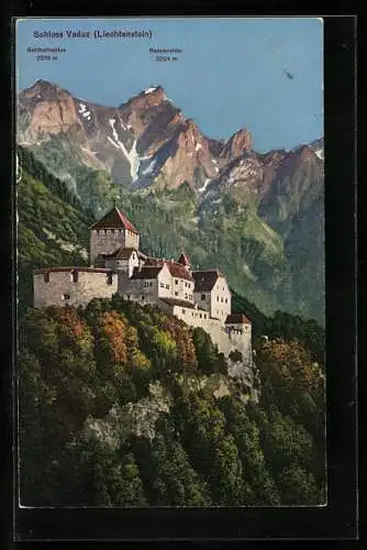 AK Vaduz, Blick auf das Schloss