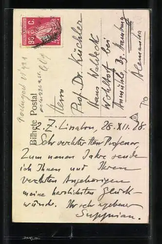 AK Cintra, Palacio da Pena, Entrada