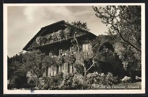 AK Oberhofen am Thunersee, Allmend