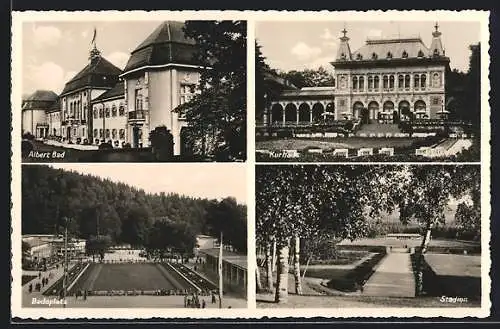 AK Bad Elster, Das Albert-Bad, Kurhaus, Badeplatz, Stadion