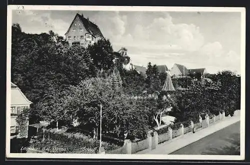 AK Leipheim a. d. Donau, Teilansicht mit dem Schloss