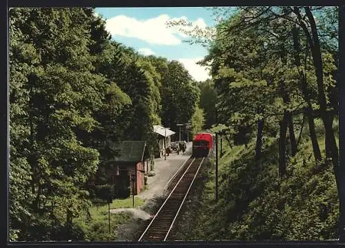 AK Bad Salzhausen v. d. V., Bahnhof am Hessischen Staatsbad