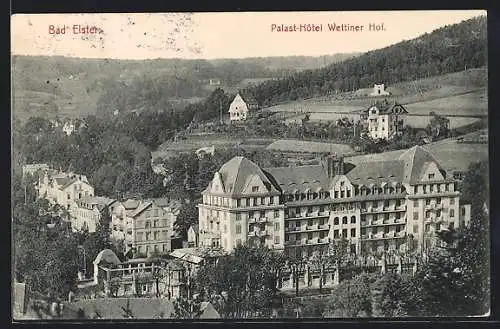 AK Bad Elster, das Palast-Hotel Wettiner Hof