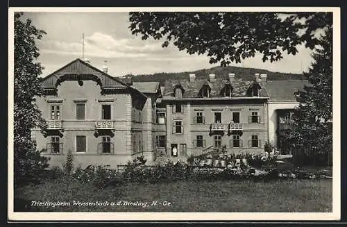 AK Weissenbach a. d. Triesting, Triestingheim