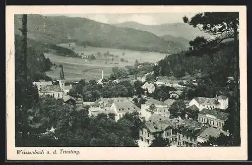 AK Weissenbach a. d. Tr., Panorama mit Gebirge