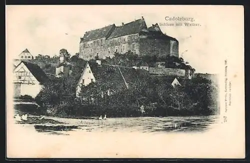 AK Cadolzburg, Schloss mit Weiher im Vordergrund