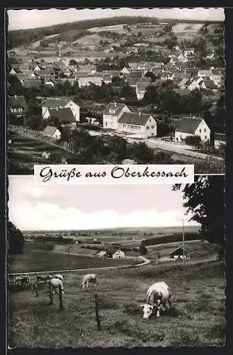 AK Oberkessach, Ortsansicht aus der Vogelschau, weidende Rinder