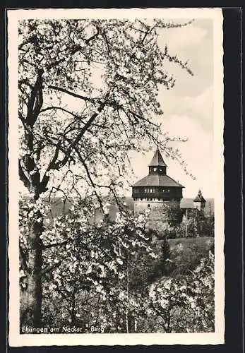 AK Esslingen am Neckar, Die Burg im Frühling