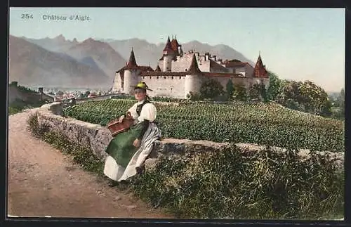 AK Aigle, Chateau d'Aigle