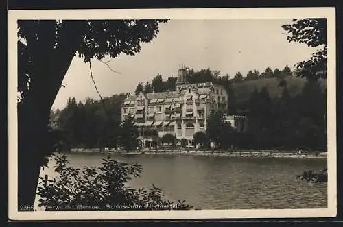 AK Hertenstein /Vierwaldstättersee, Schlosshotel Hertenstein