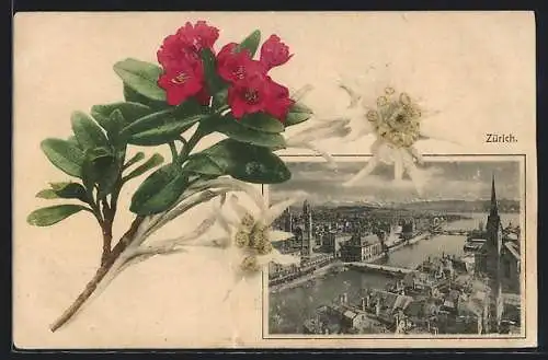 AK Zürich, Teilansicht mit Kirche, Alpenblumen
