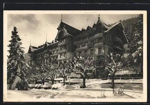 AK Beatenberg, Hotel Schweizerhof im Schnee