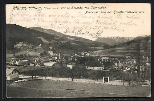 AK Mürzzuschlag, Ortspanorama von der Hauptmannwiese mit der Schneealpe