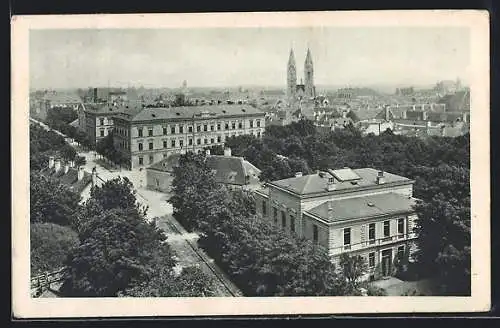 AK Wr.-Neustadt, Teilansicht mit Kirche und Strassenpartie
