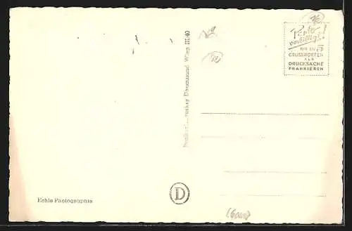 AK Wiener-Neustadt /N.-Ö., Teilansicht mit Kirche