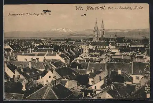 AK Wr. Neustadt /N.-Oe, Panorama mit Schneeberg und Flugzeugen
