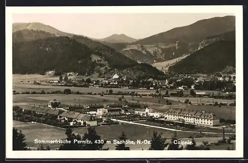 AK Pernitz /N.-Oe., Kolonie mit Bergen
