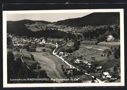 AK Miesenbach /N.-Oe., Waidmannsfeld mit Strassenpartie