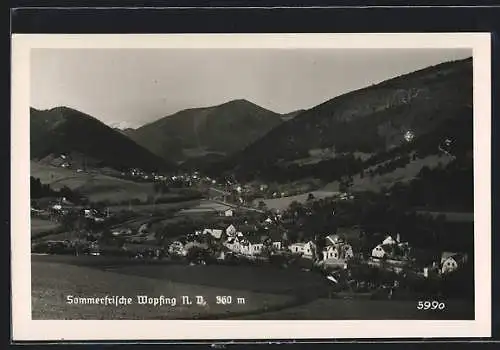 AK Wopfing /N.-D., Teilansicht mit Bergen