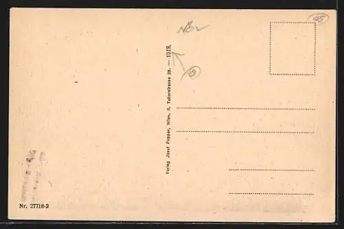 AK Wr.-Neustadt, Gesamtansicht mit Kirche und Strassenpartie