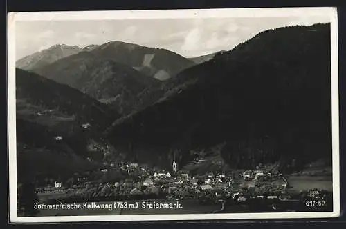 AK Kallwang /Steiermark, Teilansicht mit Kirche