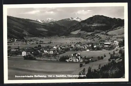 AK Kallwang /Obersteiermark, Panorama
