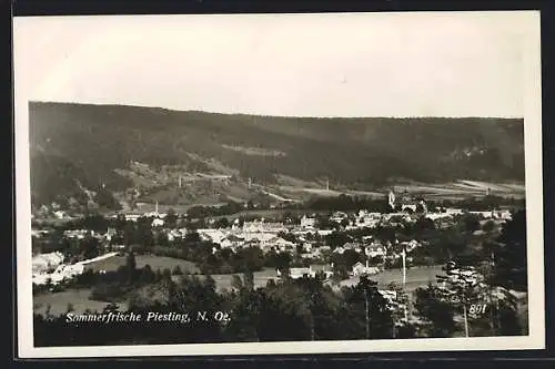 AK Piesting /N.-Oe., Teilansicht mit Kirche