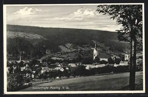 AK Piesting, Ortsansicht aus der Ferne