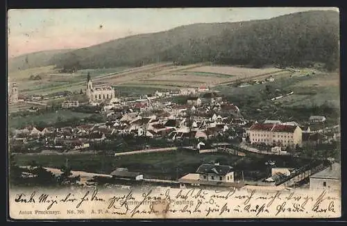 AK Piesting /N.-Ö., Teilansicht mit Kirche