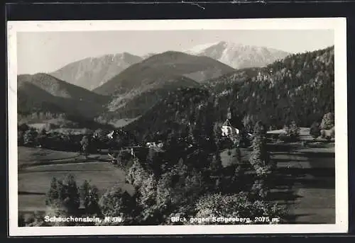 AK Scheuchenstein, Blick gegen Schneeberg, Kirche