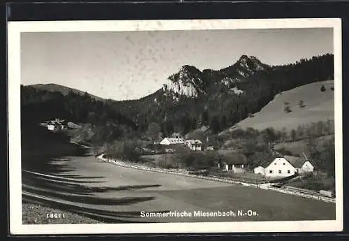 AK Miesenbach /N.-Oe., Panorama